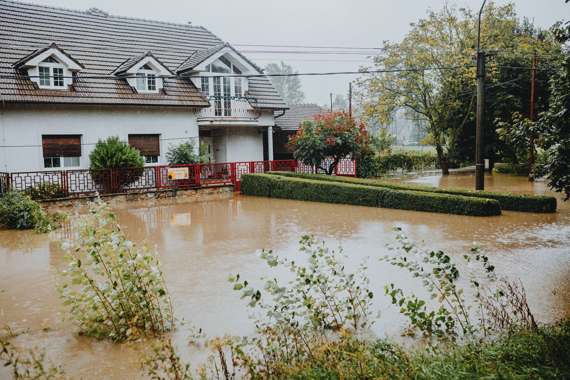 Storm Cleanup